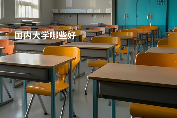 国内大学哪些好