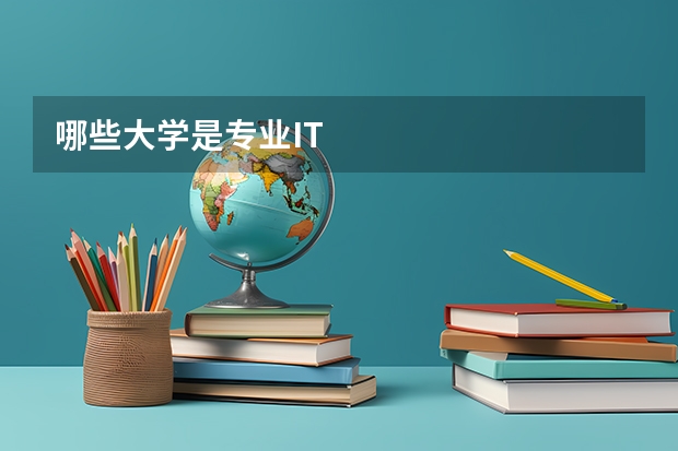 哪些大学是专业IT