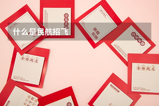 什么是民航招飞