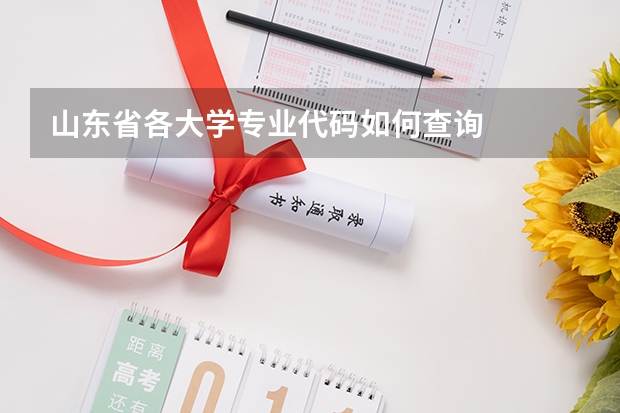 山东省各大学专业代码如何查询