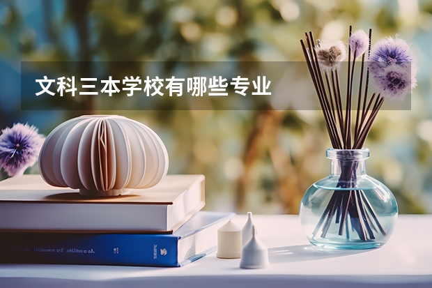 文科三本学校有哪些专业