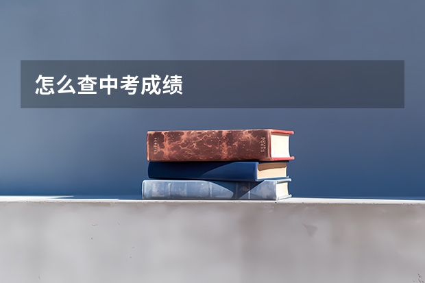 怎么查中考成绩