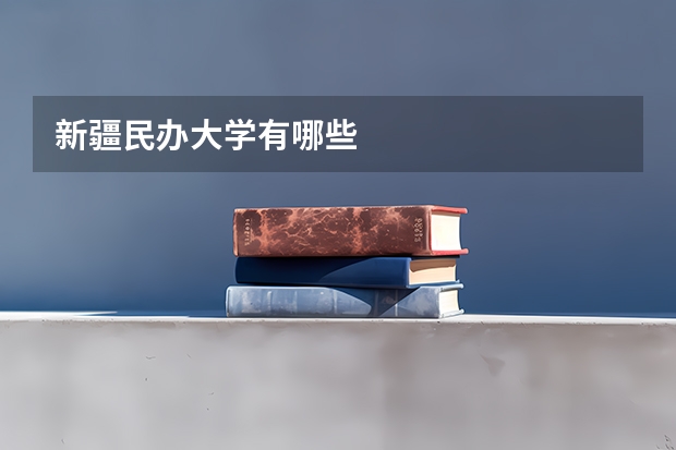 新疆民办大学有哪些