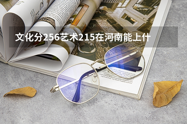 文化分256艺术215在河南能上什么大专?