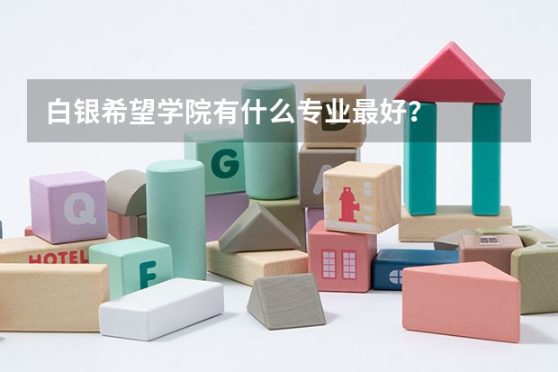 白银希望学院有什么专业最好？