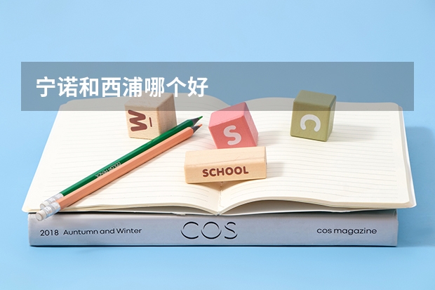 宁诺和西浦哪个好