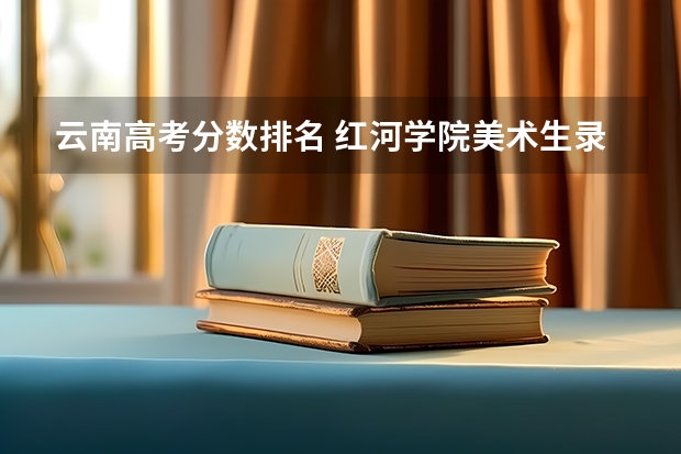 云南高考分数排名 红河学院美术生录取分数线
