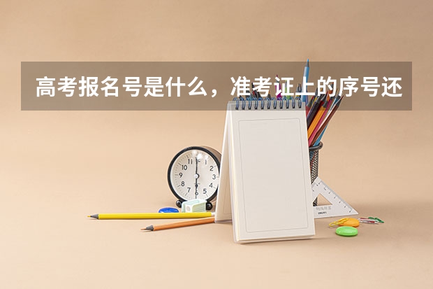 高考报名号是什么，准考证上的序号还是