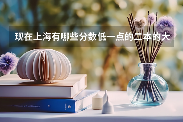 现在上海有哪些分数低一点的二本的大学，都在上海哪里，分数线是多少啊