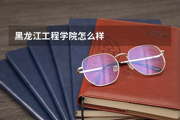 黑龙江工程学院怎么样