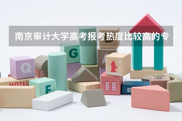 南京审计大学高考报考热度比较高的专业有哪些？