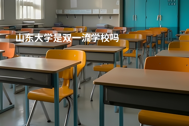 山东大学是双一流学校吗