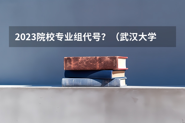 2023院校专业组代号？（武汉大学院校专业组代码）