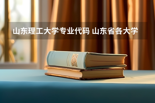山东理工大学专业代码 山东省各大学代码及专业