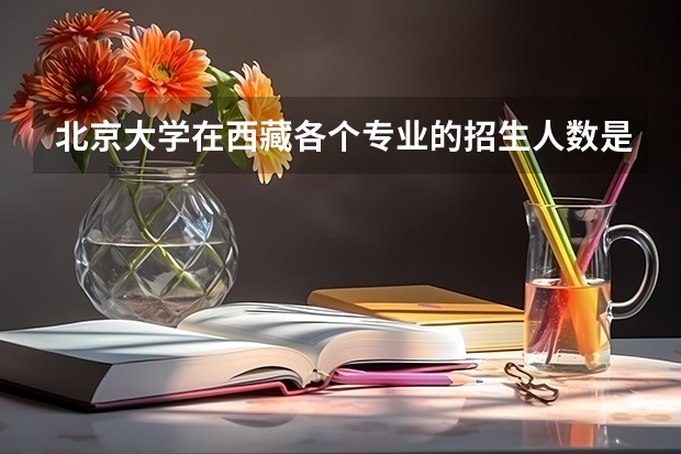 北京大学在西藏各个专业的招生人数是多少