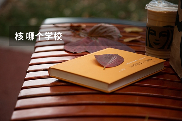 核 哪个学校