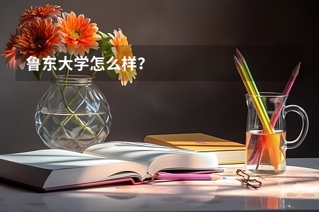 鲁东大学怎么样？