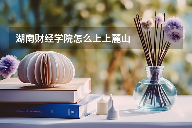 湖南财经学院怎么上上麓山