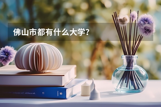佛山市都有什么大学？