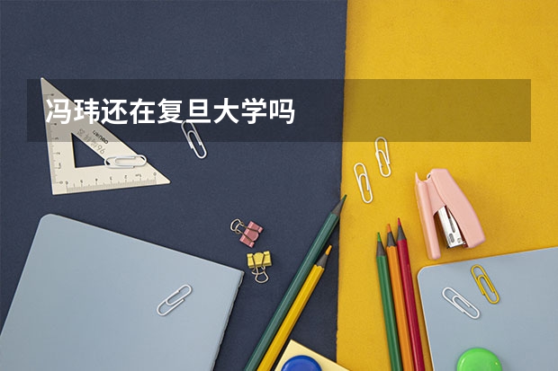 冯玮还在复旦大学吗
