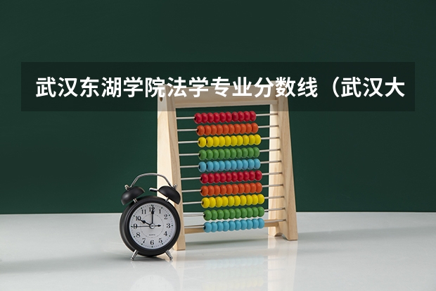 武汉东湖学院法学专业分数线(武汉大学法学录取分数线)