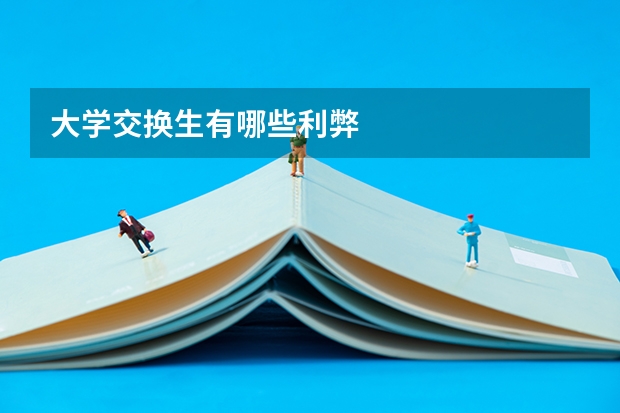 大学交换生有哪些利弊