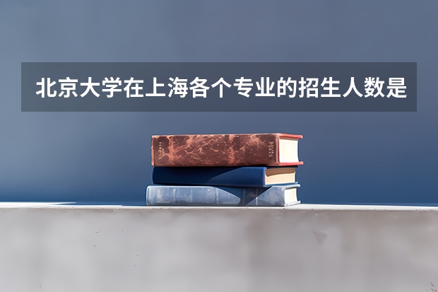 北京大学在上海各个专业的招生人数是多少
