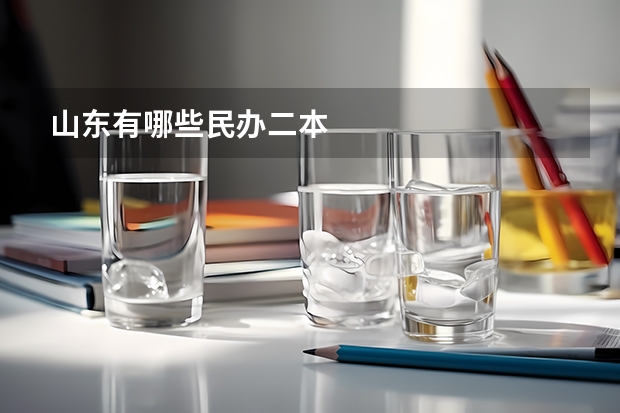 山东有哪些民办二本