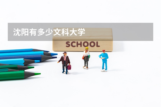 沈阳有多少文科大学