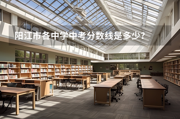 阳江市各中学中考分数线是多少？