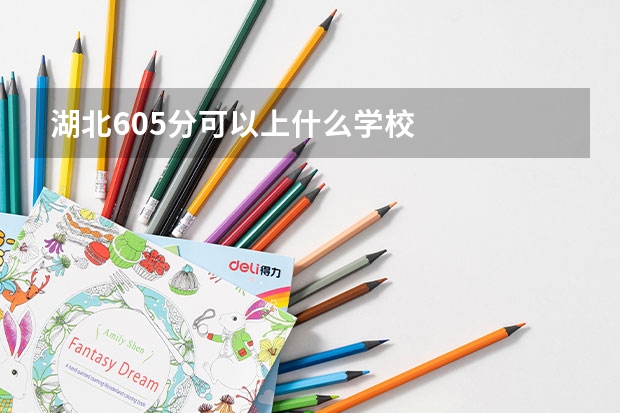 湖北605分可以上什么学校