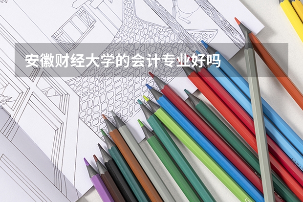 安徽财经大学的会计专业好吗