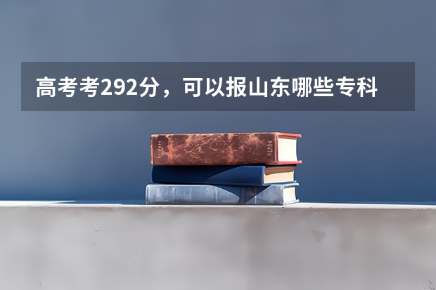 高考考292分，可以报山东哪些专科学校