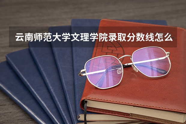云南师范大学文理学院录取分数线怎么样