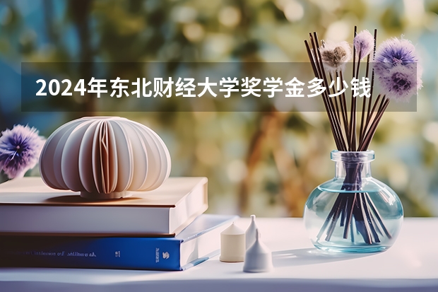 2024年东北财经大学奖学金多少钱