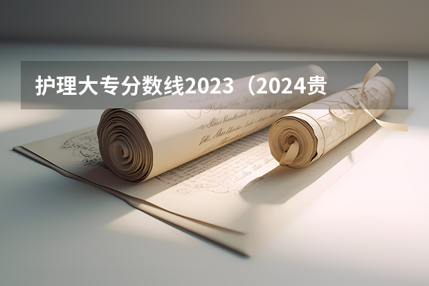 护理大专分数线2023（2024贵州城市职业学院各专业录取分数线）