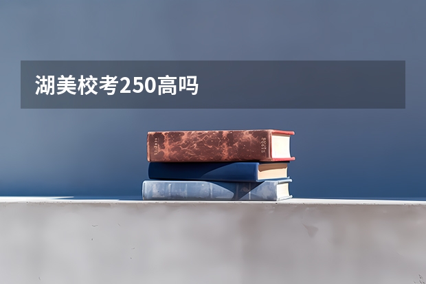 湖美校考250高吗
