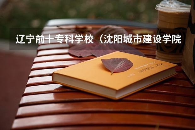 辽宁前十专科学校（沈阳城市建设学院是公办还是）