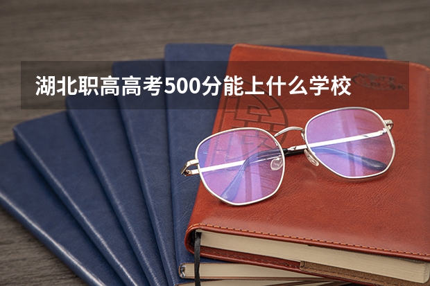 湖北职高高考500分能上什么学校