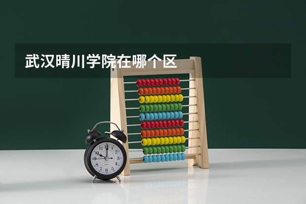 武汉晴川学院在哪个区