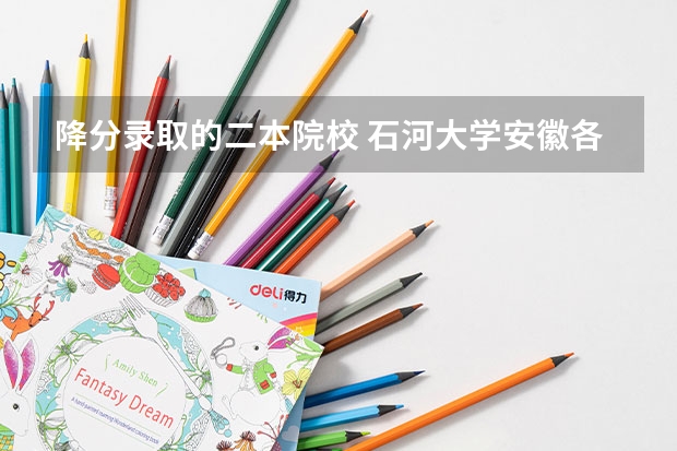 降分录取的二本院校 石河大学安徽各专业录取分数