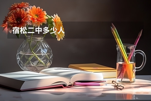 宿松二中多少人